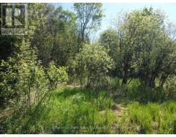 Con 13, Pt Lot 21, Part 1 Golf Course Road, Chisholm, ON P0H1Z0 Photo 12