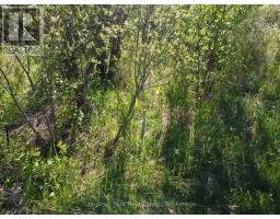 Con 13, Pt Lot 21, Part 1 Golf Course Road, Chisholm, ON P0H1Z0 Photo 14