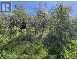 Con 13, Pt Lot 21, Part 1 Golf Course Road, Chisholm, ON P0H1Z0 Photo 19