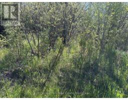 Con 13, Pt Lot 21, Part 1 Golf Course Road, Chisholm, ON P0H1Z0 Photo 22