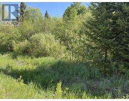 Con 13, Pt Lot 21, Part 1 Golf Course Road, Chisholm, ON P0H1Z0 Photo 18