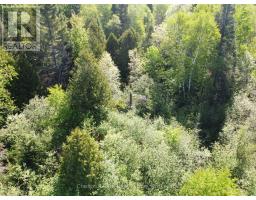 Con 13, Pt Lot 21, Part 1 Golf Course Road, Chisholm, ON P0H1Z0 Photo 17