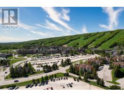224 - 169 Jozo Weider Boulevard, Blue Mountains, ON L9Y0P7 Photo 17