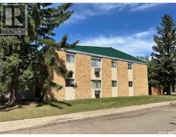 15 4th Avenue, Maple Creek, SK S0N1N0 Photo 8