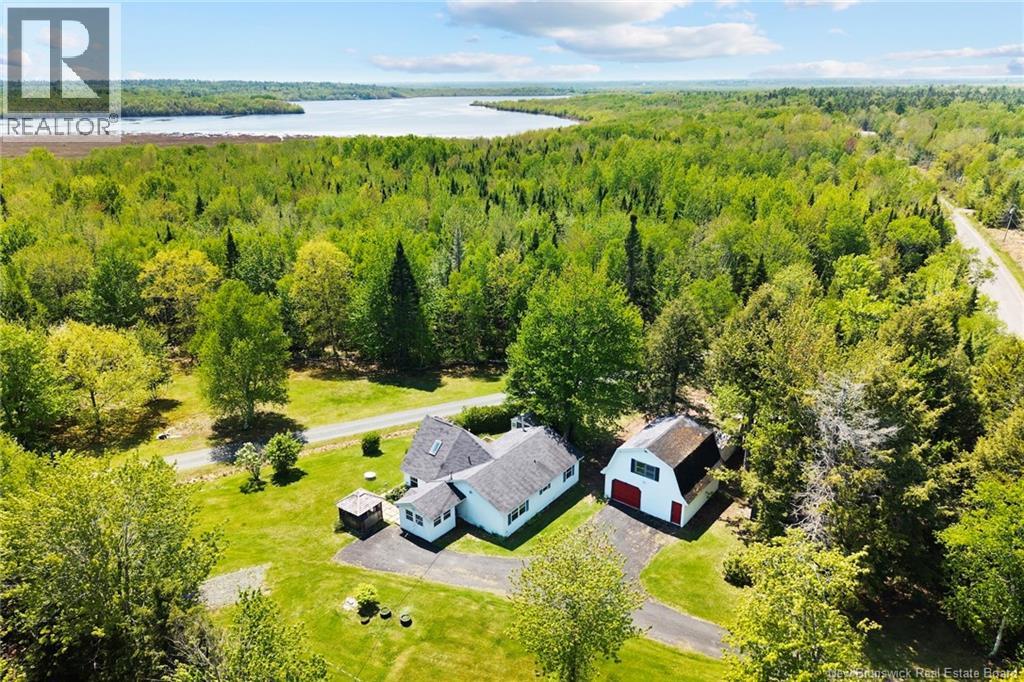 239 Smith Road - 4