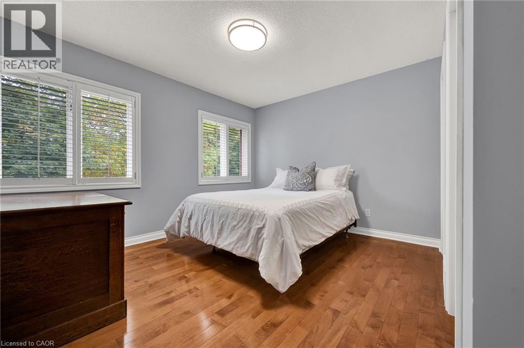 250 GREY SQUIRREL Place - 23
