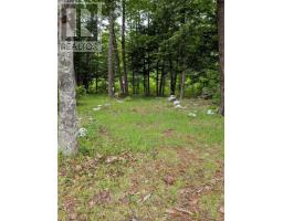 67 Station Road, Kinsac, NS B4G1C8 Photo 28