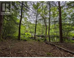 67 Station Road, Kinsac, NS B4G1C8 Photo 19