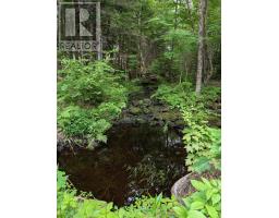 67 Station Road, Kinsac, NS B4G1C8 Photo 6