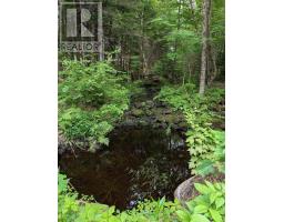 67 Station Road, Kinsac, NS B4G1C8 Photo 30