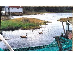 5197 & 5199 Highway 16, Queensport Ns Highway, Queensport, NS B0H1N0 Photo 11