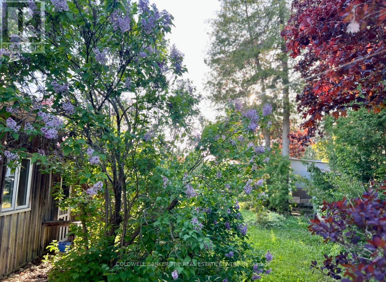 23 CEDAR DALE DRIVE - 46