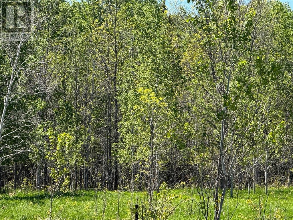 N/A Lagoon Lane, Little Current — photo 3