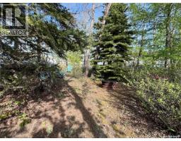 118-119 Murray Crescent, Fishing Lake, SK S0A1A0 Photo 19
