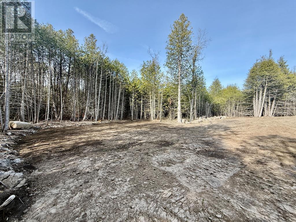 1039 CROOKSTON ROAD - 34