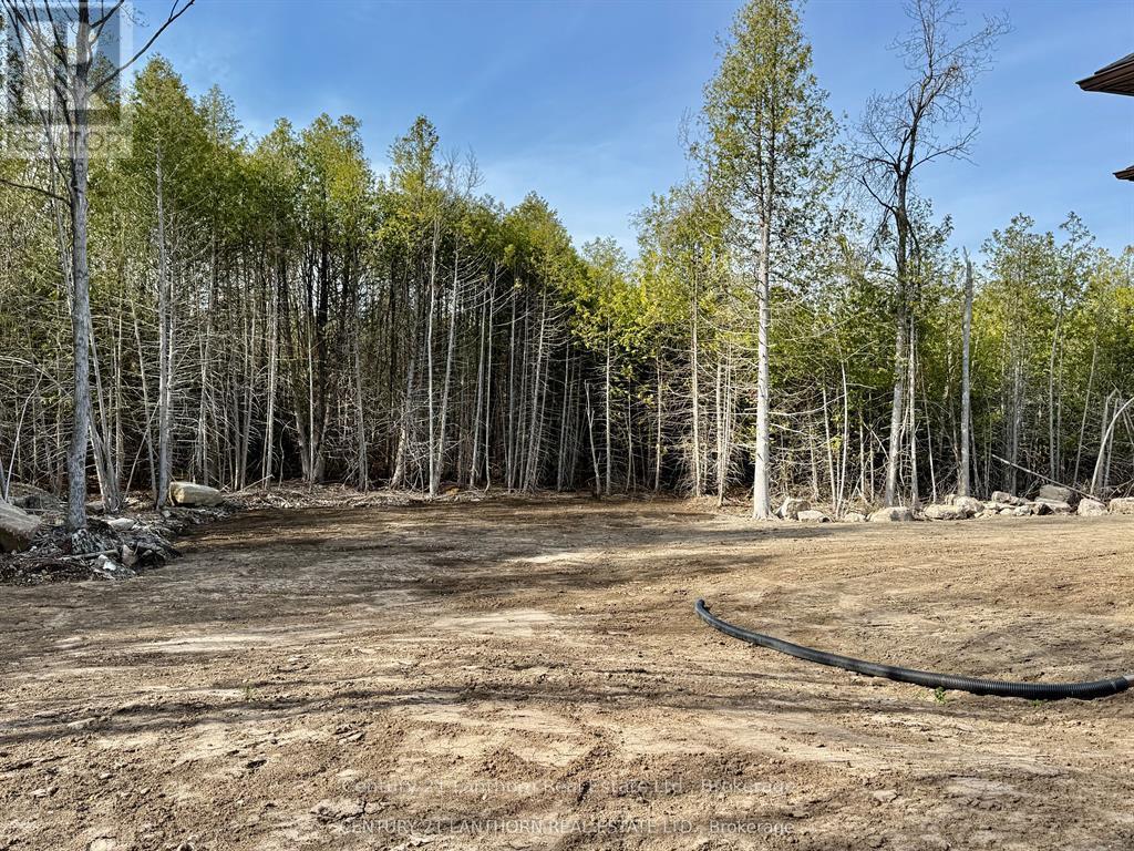 1039 CROOKSTON ROAD - 35