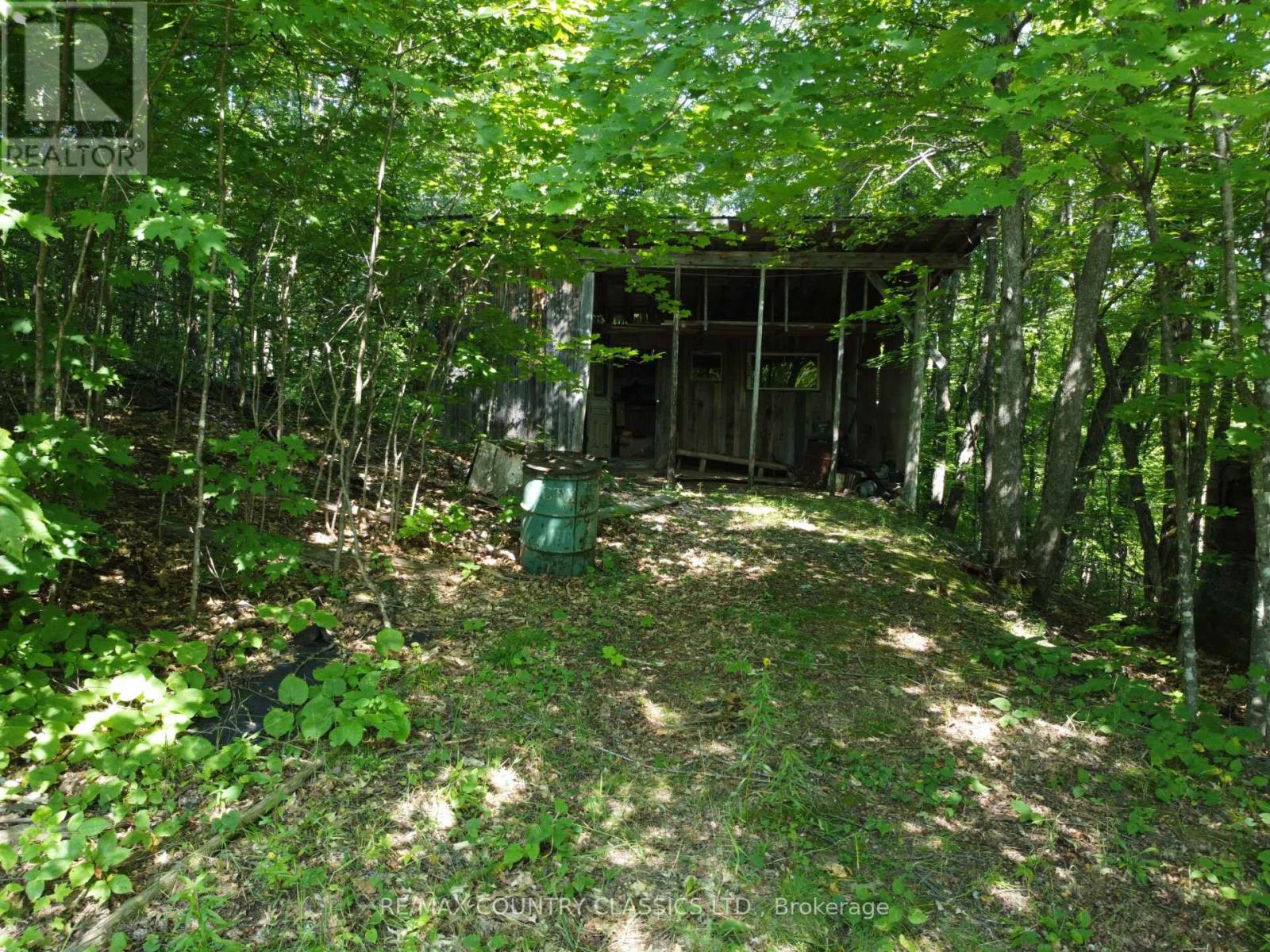 388 O'GRADY SETTLEMENT ROAD - 14