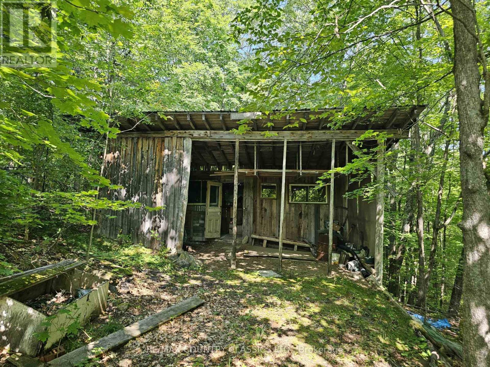 388 O'GRADY SETTLEMENT ROAD - 15