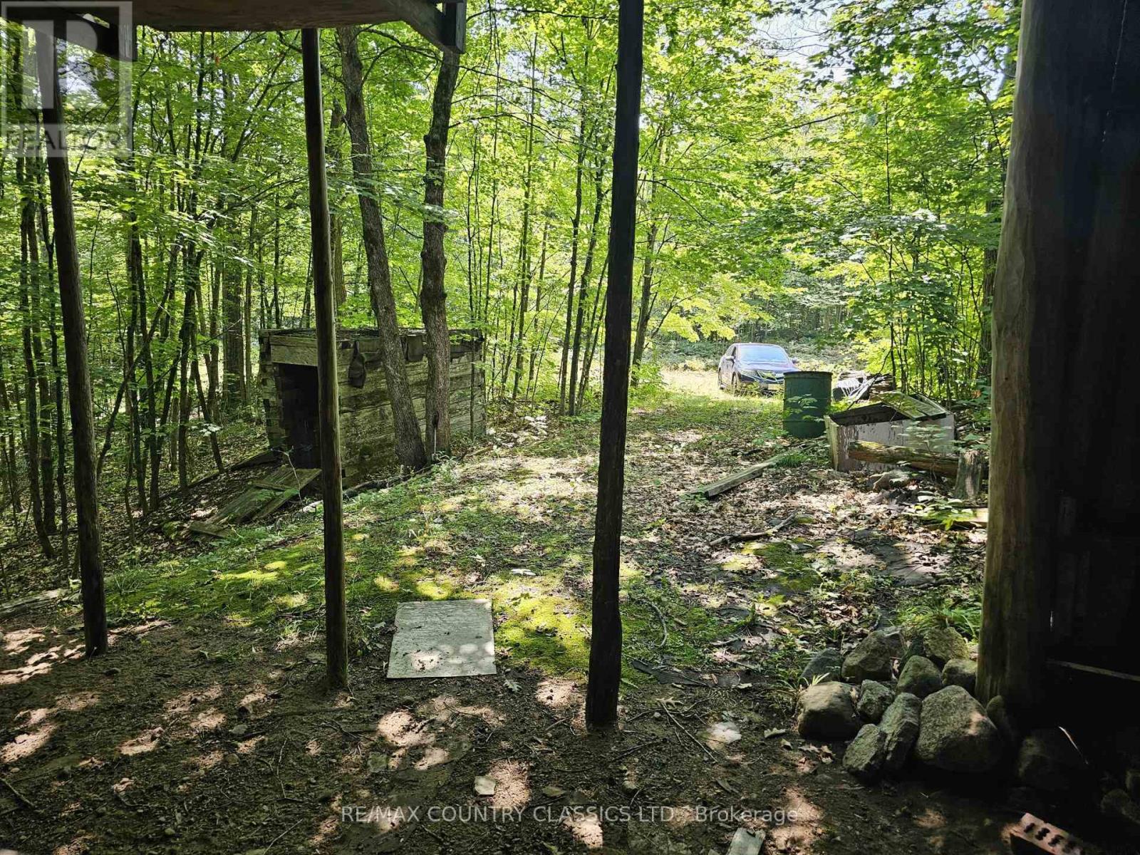 388 O'GRADY SETTLEMENT ROAD - 18