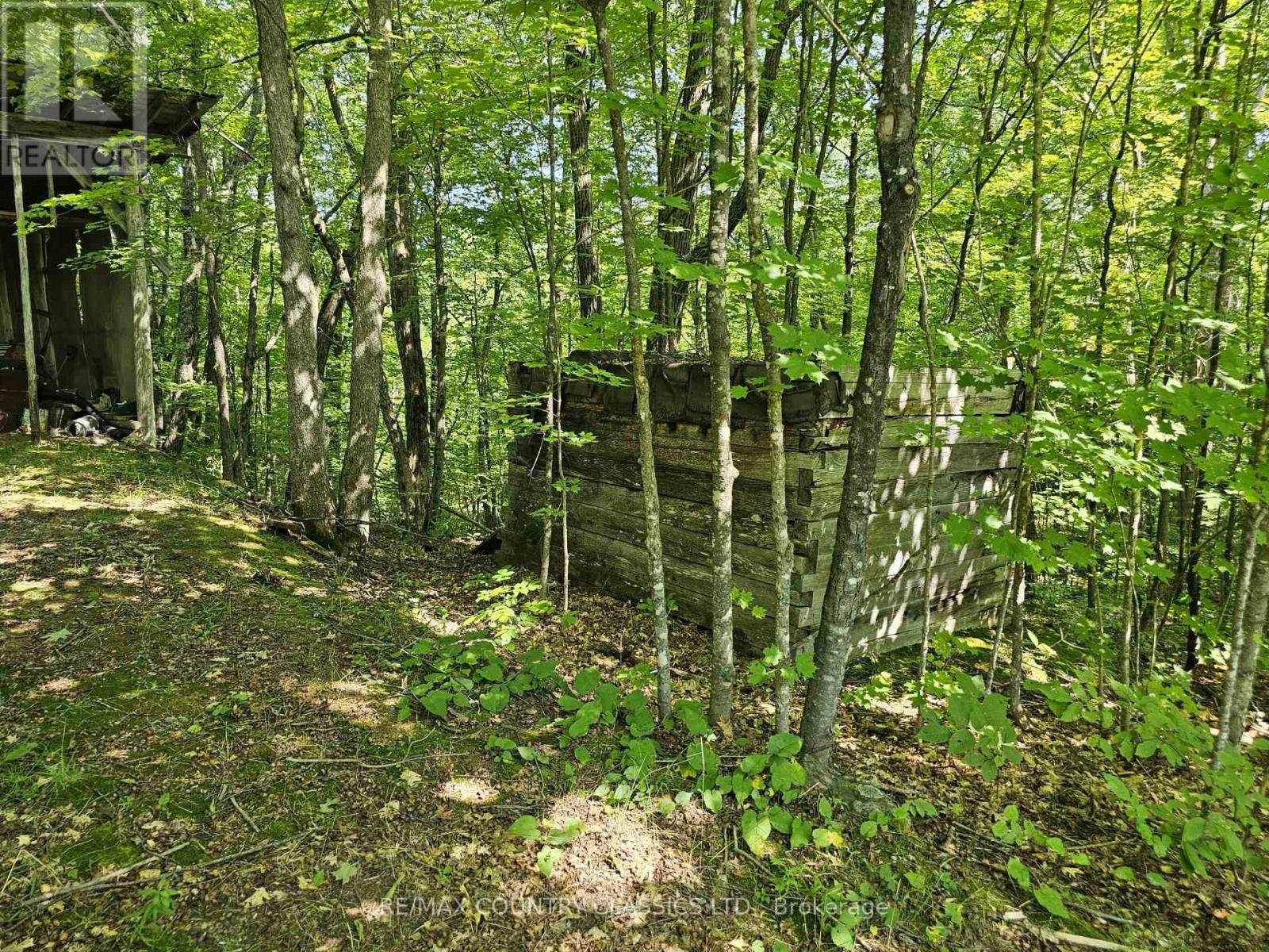 388 O'GRADY SETTLEMENT ROAD - 19