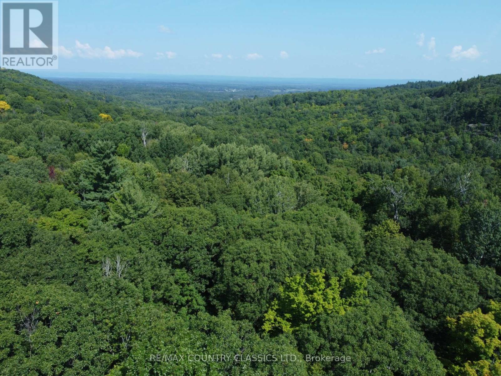 388 O'GRADY SETTLEMENT ROAD - 4