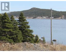 33 Cove Road thumbnail 11