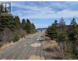 33 Cove Road thumbnail 16