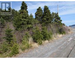 33 Cove Road thumbnail 18