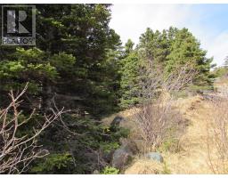 33 Cove Road thumbnail 19