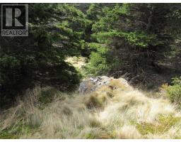 33 Cove Road thumbnail 22