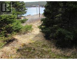 33 Cove Road thumbnail 23