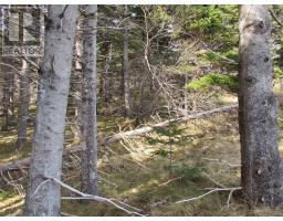 33 Cove Road thumbnail 28