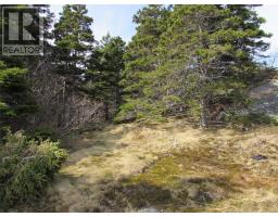 33 Cove Road thumbnail 37