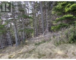 33 Cove Road thumbnail 38