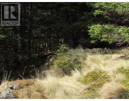 33 Cove Road thumbnail 40