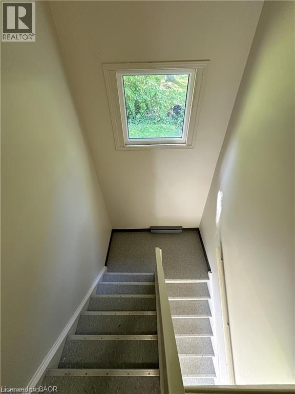 64-66 OAKWOOD Avenue - 42