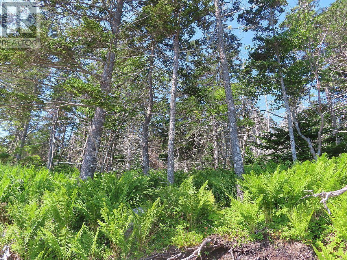 Property 11 of 41 of Lot 10 Hwy 316 (Grovers Point)