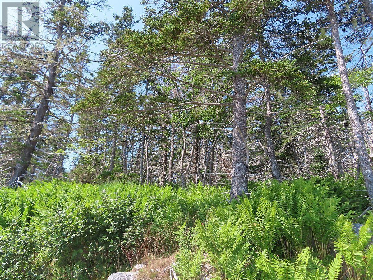 Property 31 of 41 of Lot 10 Hwy 316 (Grovers Point)