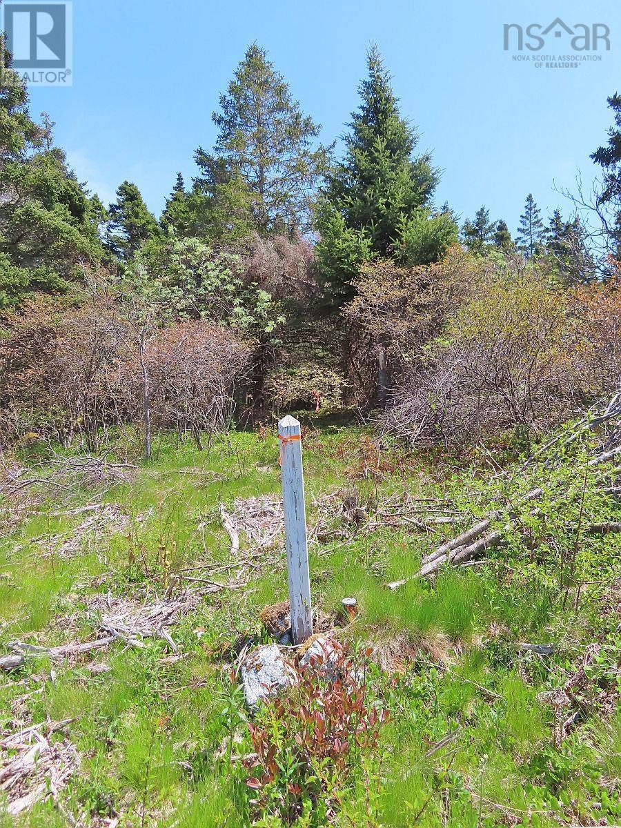 Property 14 of 41 of Lot 10 Hwy 316 (Grovers Point)