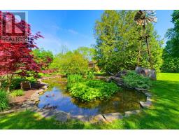 169 James Street, North Perth, ON N0G1B0 Photo 37