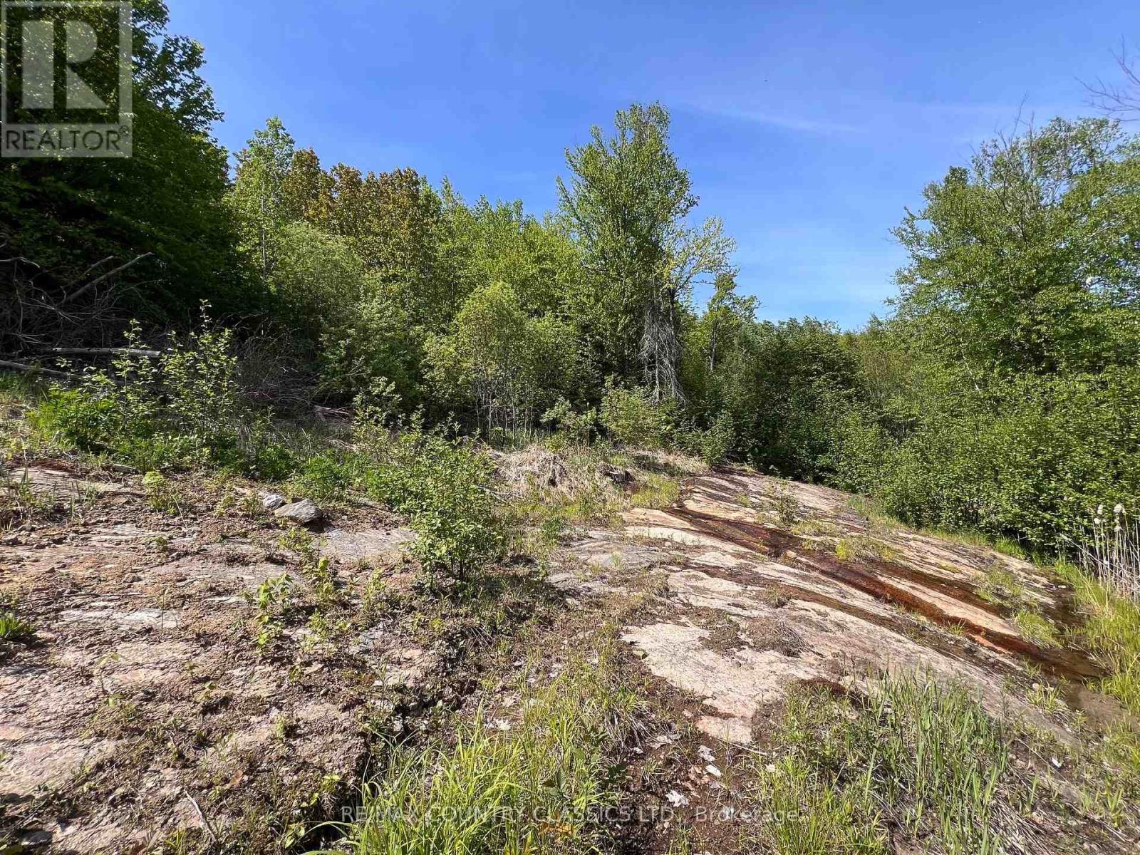 39132 COMBERMERE ROAD - 28