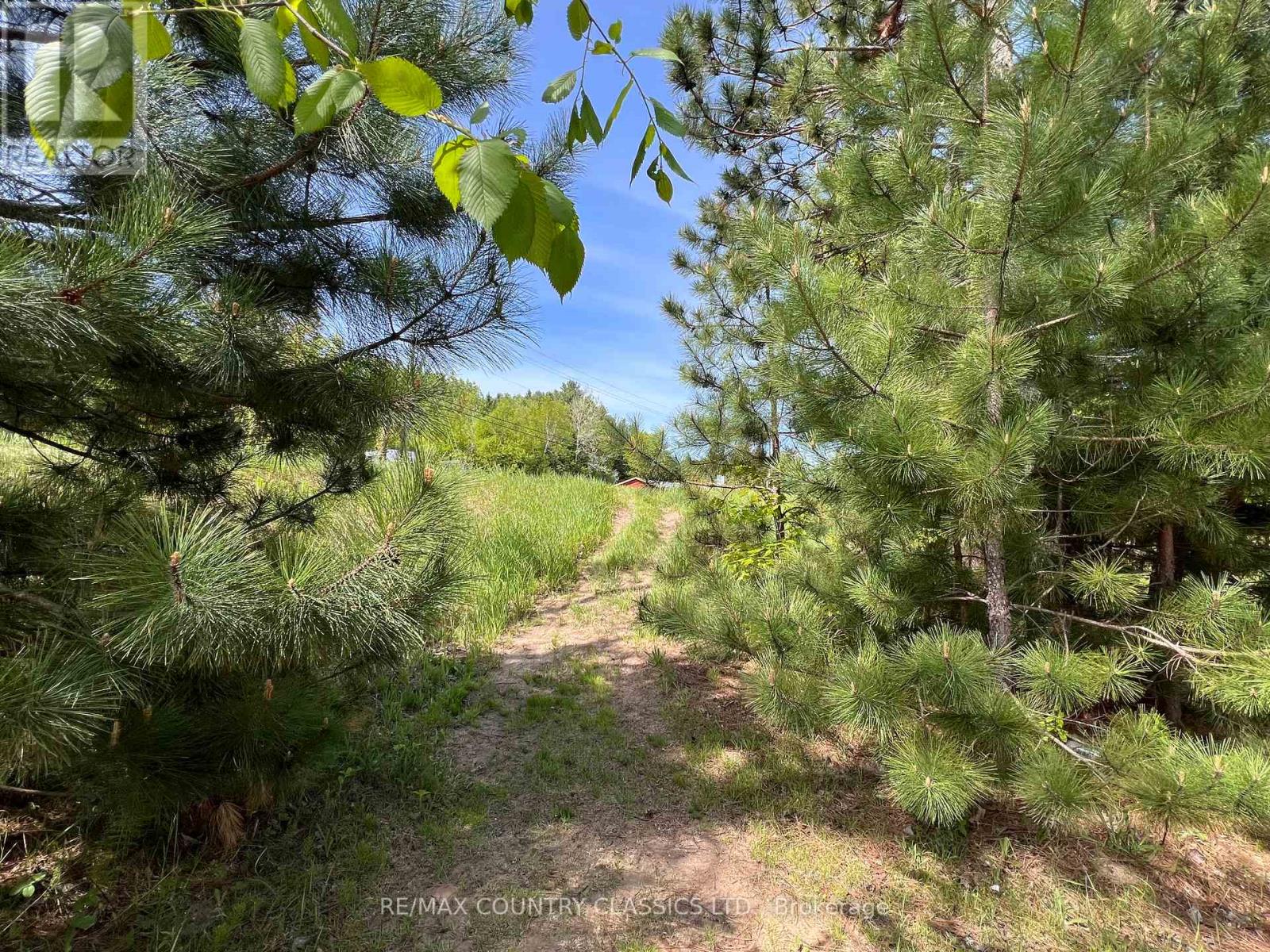 39132 COMBERMERE ROAD - 31