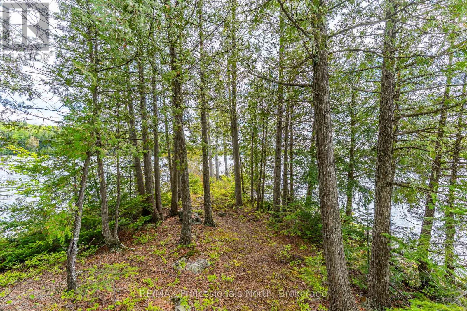 1294 TRINITY ROAD - 38