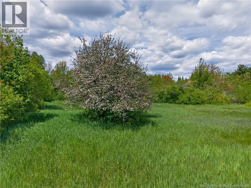 517 Route 11 Hwy - 34