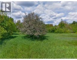 517 Route 11 Hwy, Lower Newcastle, NB E1V7G2 Photo 34