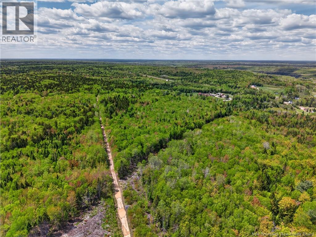 517 Route 11 Hwy - 38