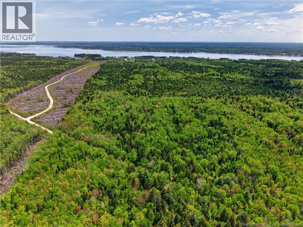 517 Route 11 Hwy - 39
