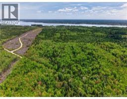 517 Route 11 Hwy, Lower Newcastle, NB E1V7G2 Photo 39