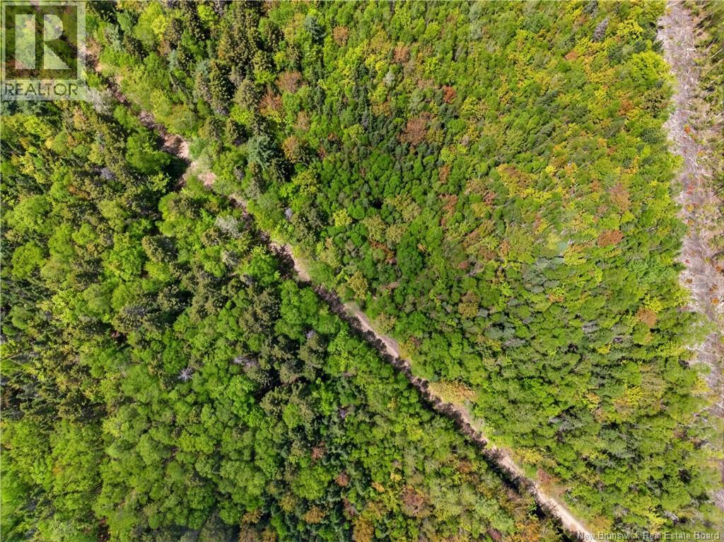 517 Route 11 Hwy - 41