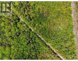 517 Route 11 Hwy, Lower Newcastle, NB E1V7G2 Photo 41